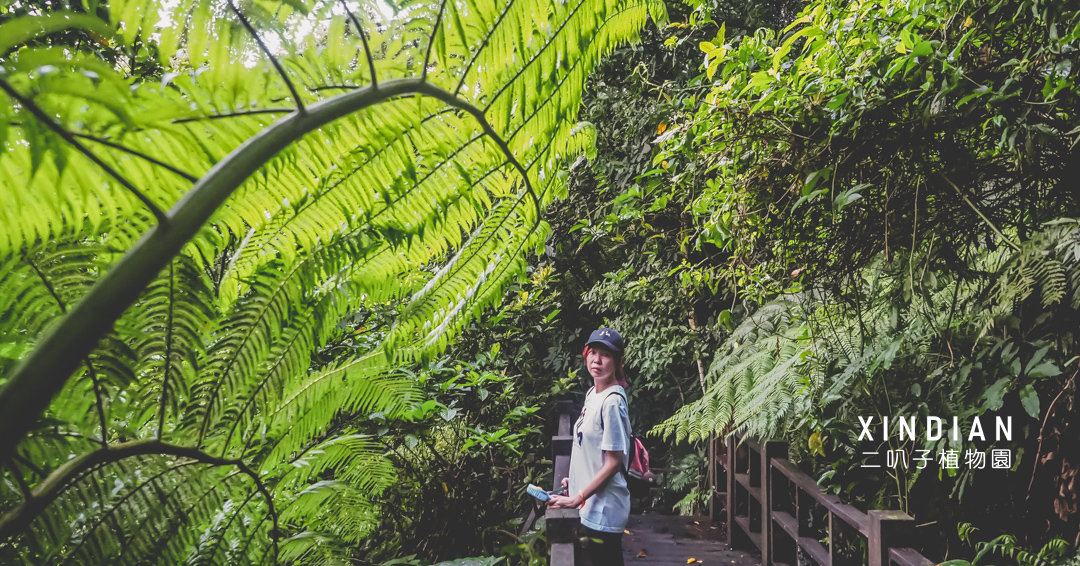 新店二叭子植物園 新北原來也有植物園，還有枕木步道可以走！